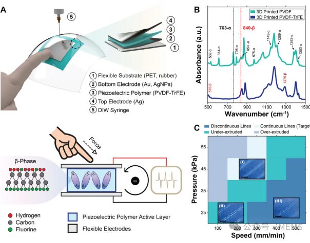 3D打印柔性压电传感器，助力智能可穿戴设备