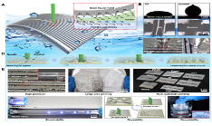 液态金属柔性电子制造研究取得进展
