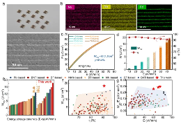 淮南师范学院先进陶瓷团队在《自然·通讯》等国际顶级期刊上发表电容储能陶瓷材料最新成果