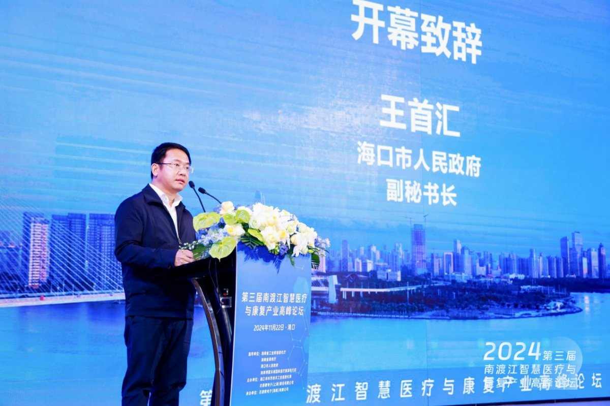 海口市人民政府副秘书长王首汇：在培育集成电路等战略性新兴产业上取得显著成效