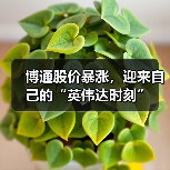 博通股价暴涨，迎来自己的“英伟达时刻”（图3）