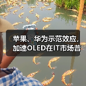 苹果、华为示范效应，加速OLED在IT市场普及应用（图3）