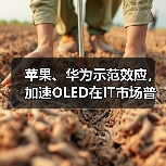 苹果、华为示范效应，加速OLED在IT市场普及应用（图2）