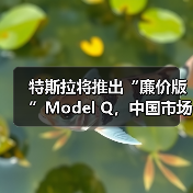 特斯拉将推出“廉价版”Model Q，中国市场售价14万起