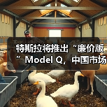 特斯拉将推出“廉价版”Model Q，中国市场售价14万起（图2）