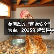 美国欲以“国家安全”为由，2025年起禁售中国TP-Link路由器