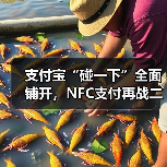 支付宝“碰一下”全面铺开，NFC支付再战二维码