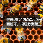 宁德时代40亿欧元落子西班牙，投建欧洲第三座电池工厂（图2）