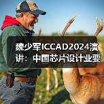 魏少军ICCAD2024演讲：中国芯片设计业要自强不息（图3）