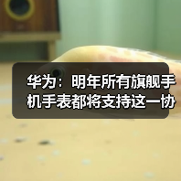 华为：明年所有旗舰手机手表都将支持这一协议，原Mate和P系列也可升级