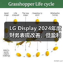 LG Display 2024年度财务表现改善，但盈利之路仍然艰难