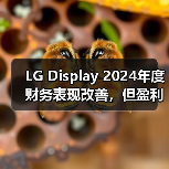 LG Display 2024年度财务表现改善,但盈利之路仍然艰难(图2) LG Display 2024年度财务表现改善,但盈利之路仍然艰难(图2)