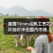 美国16nm成熟工艺芯片低价冲击国内市场，商务部启动调查