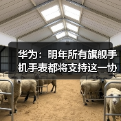 华为：明年所有旗舰手机手表都将支持这一协议，原Mate和P系列也可升级（图4）