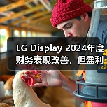 LG Display 2024年度财务表现改善,但盈利之路仍然艰难(图3) LG Display 2024年度财务表现改善,但盈利之路仍然艰难(图3)