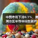 中国市场下滑0.1%,美洲地区半导体销售额持续增长(图2) 中国市场下滑0.1%,美洲地区半导体销售额持续增长(图2)
