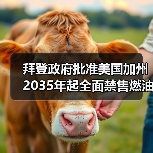 拜登政府批准美国加州2035年起全面禁售燃油车计划