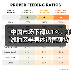 中国市场下滑0.1%,美洲地区半导体销售额持续增长(图3) 中国市场下滑0.1%,美洲地区半导体销售额持续增长(图3)