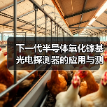 下一代半导体氧化镓基光电探测器的应用与测试研究(图4) 下一代半导体氧化镓基光电探测器的应用与测试研究(图4)
