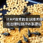 iTAP技术的全球技术标准治理和测评体系建设（图2）