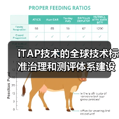 iTAP技术的全球技术标准治理和测评体系建设（图3）
