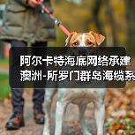 阿尔卡特海底网络承建澳洲-所罗门群岛海缆系统（图2）