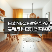 日本NEC承建金奈-安达曼和尼科巴群岛海缆系统（图2）
