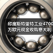 印度斯特里特工业4700万欧元现金收购意大利光缆厂（图3）