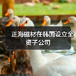 正海磁材在韩国设立全资子公司