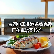 古河电工非洲首家光缆厂在摩洛哥投产（图2）