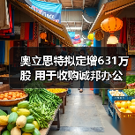 奥立思特拟定增631万股 用于收购诚邦办公（图2）