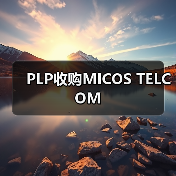 PLP收购MICOS TELCOM