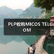 PLP收购MICOS TELCOM（图3）