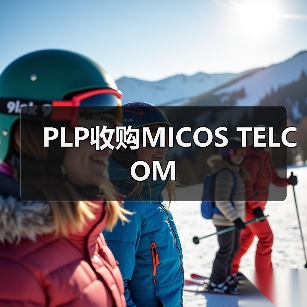 PLP收购MICOS TELCOM（图4）
