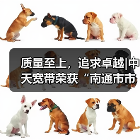 质量至上，追求卓越|中天宽带荣获“南通市市长质量奖”