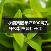 永鼎集团年产600吨光纤预制棒项目开工（图2）