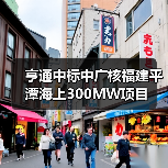 亨通中标中广核福建平潭海上300MW项目（图3）
