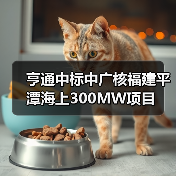 亨通中标中广核福建平潭海上300MW项目（图4）