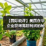 【国际锐评】美国在华企业获得高额利润的秘密（图2）