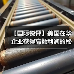 【国际锐评】美国在华企业获得高额利润的秘密（图4）