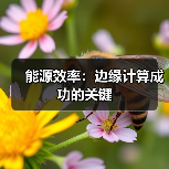 能源效率：边缘计算成功的关键