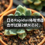 日本Rapidus将与博通合作试制2纳米芯片，最快6月提供芯片原型（图4）