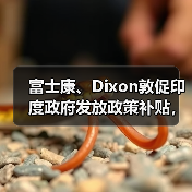 富士康、Dixon敦促印度政府发放政策补贴，称符合分配资金资格（图4）