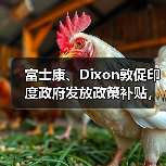 富士康、Dixon敦促印度政府发放政策补贴，称符合分配资金资格（图3）