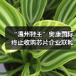“温州鞋王”奥康国际终止收购芯片企业联和存储，复牌后股价跌停（图3）