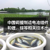 中国调整制造电池组件和锂、镓等相关技术出口限制