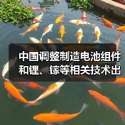 中国调整制造电池组件和锂、镓等相关技术出口限制（图2）