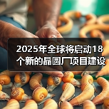 2025年全球将启动18个新的晶圆厂项目建设，中国有5个