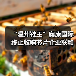 “温州鞋王”奥康国际终止收购芯片企业联和存储，复牌后股价跌停
