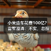 小米造车花费100亿？雷军澄清：不实，总投资已近300亿（图4）